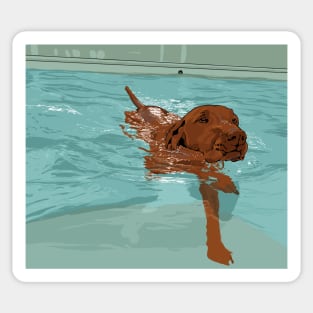 Swimming Dog Sticker